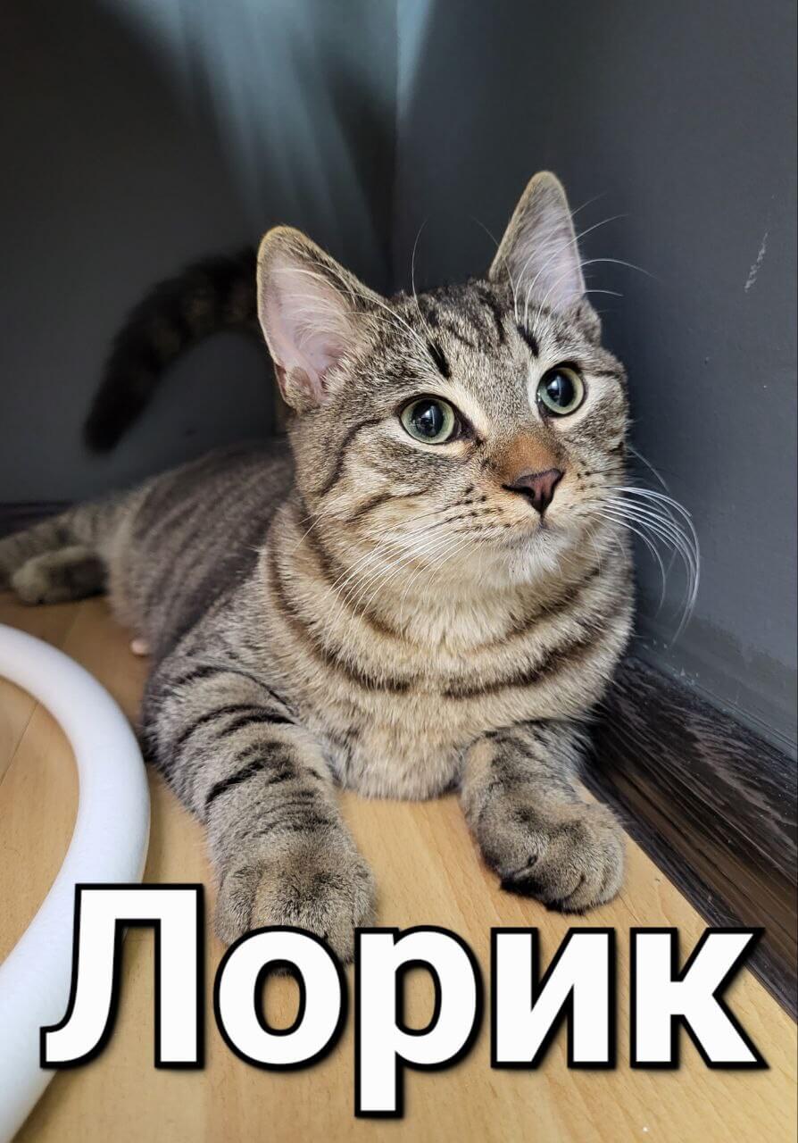 Лорик