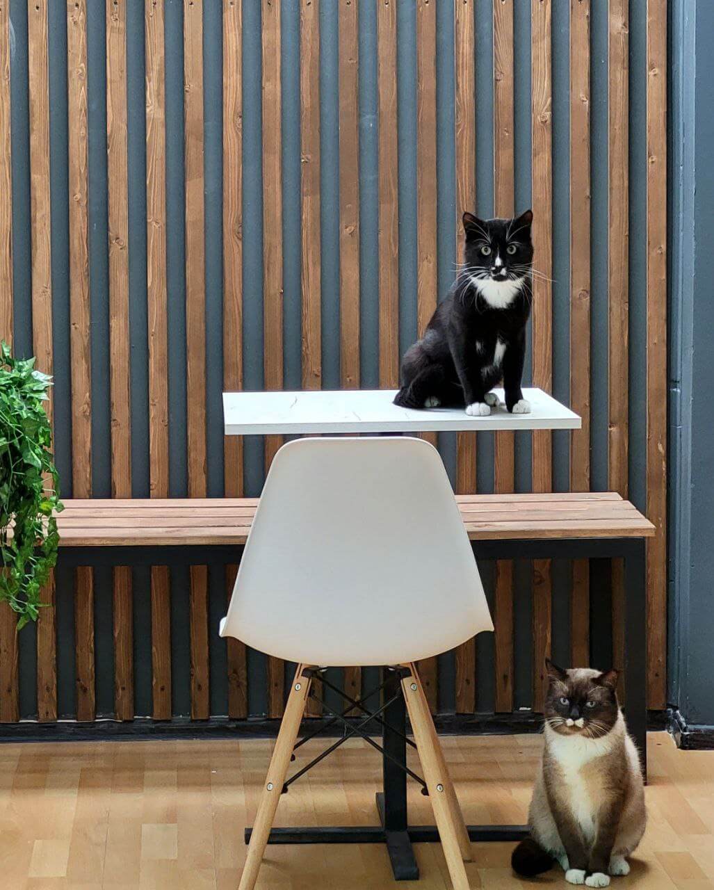 Фото интерьера