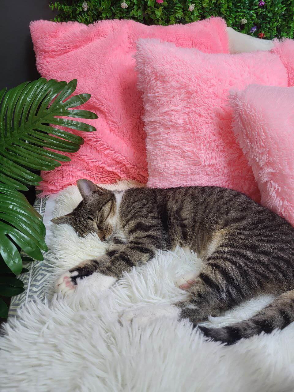 Фото интерьера